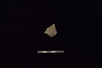 藏品(陶片)的圖片